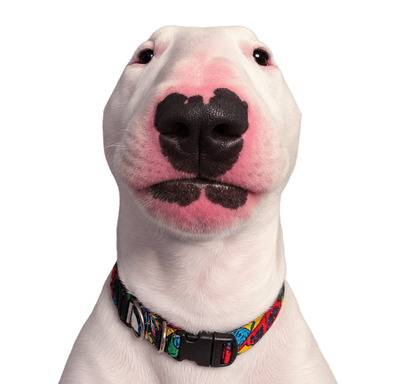 ARCPAW mascot