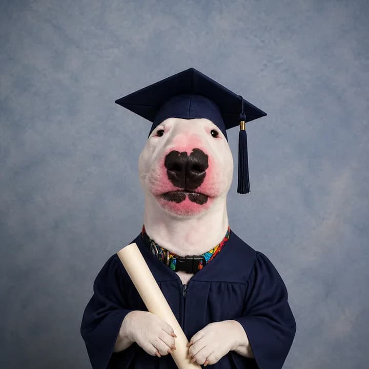 Graduate ARCPAW character